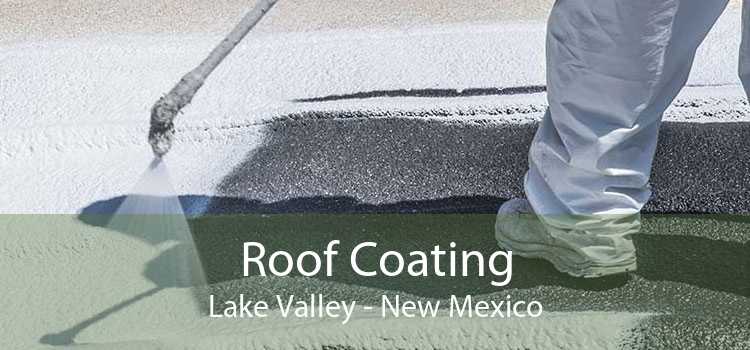 Roof Coating Lake Valley - New Mexico