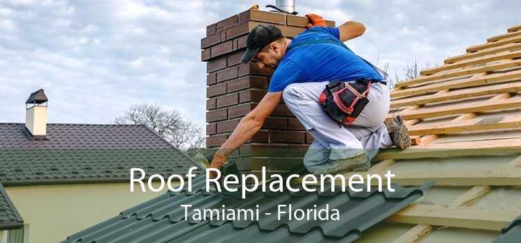 Roof Replacement Tamiami - Florida